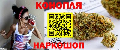 индика Лесосибирск