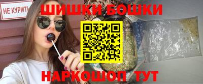 индика Лесосибирск