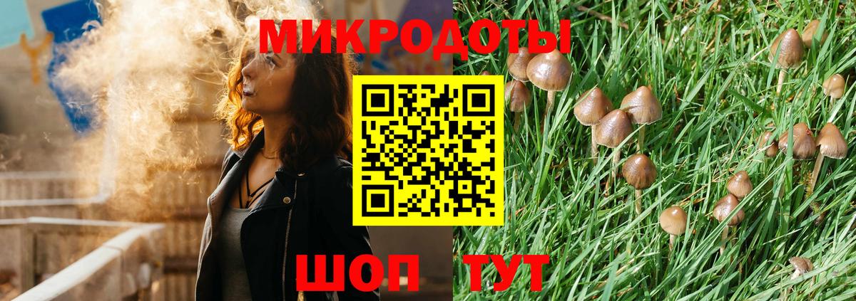 Усть-Илимск  Галлюциногенные грибы Psilocybe  Вход с VPN 