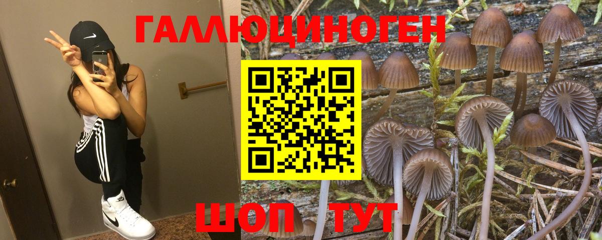 Галлюциногенные грибы прущие грибы Усть-Илимск